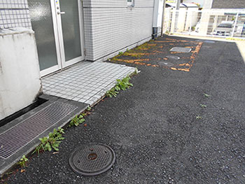 特殊建築物